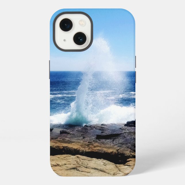 Schoodic Point iPhone Cases (Back)