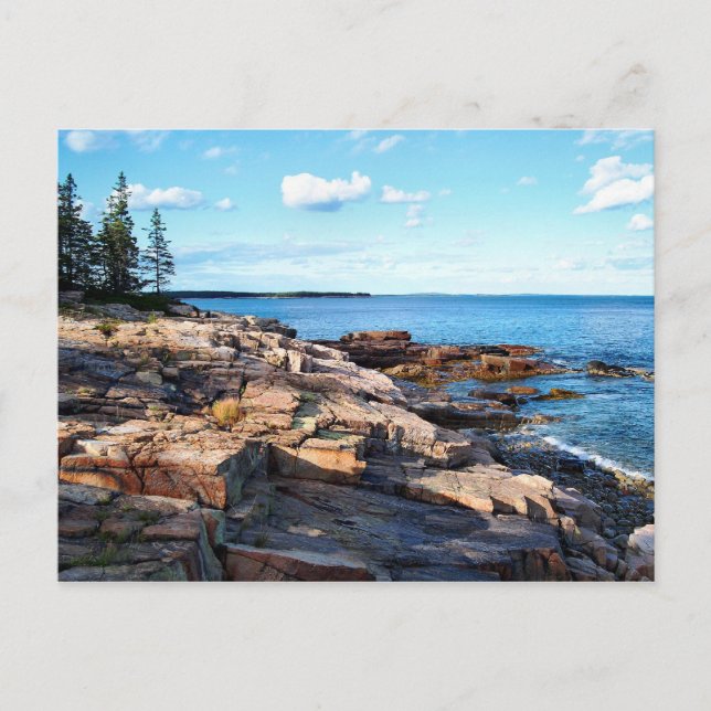 Schoodic Shoreline 1-adj Postcard (Front)