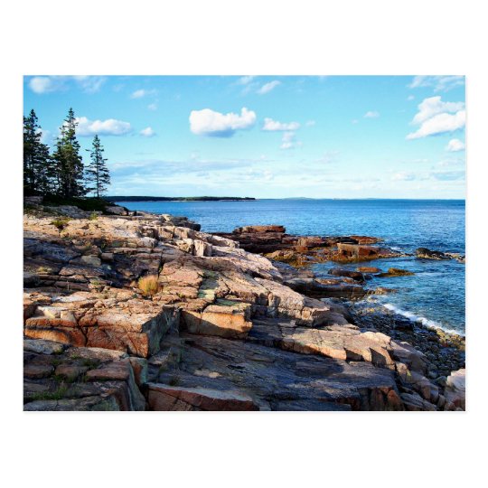 Schoodic Shoreline 1-adj Postcard