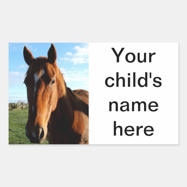 School Book Stickers Horse Pony (Front)