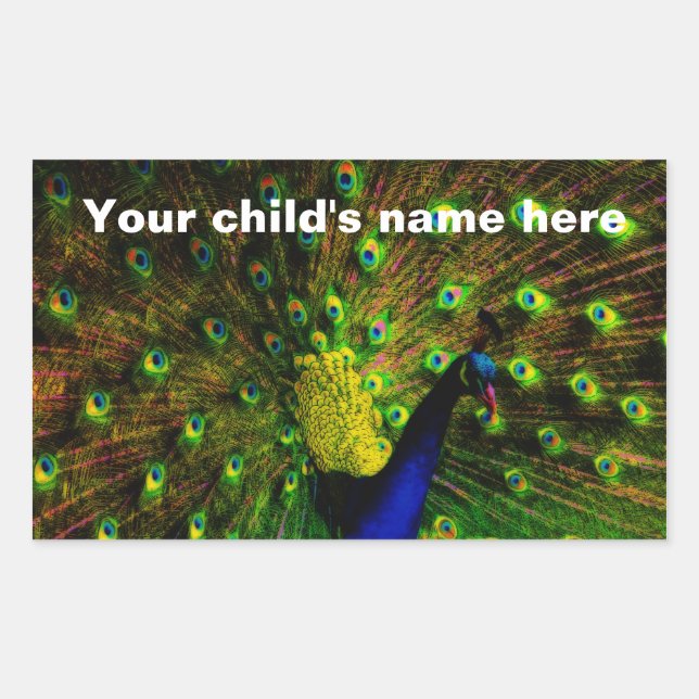 School Book Stickers Peacock Feathers (Front)
