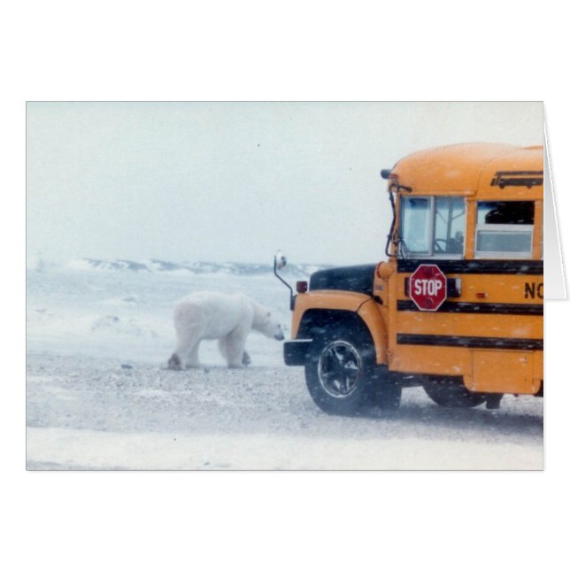 School bus and bear (Front Horizontal)