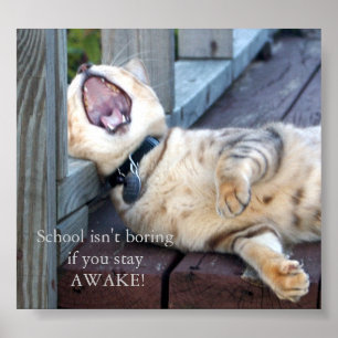 School Isn't Boring Poster