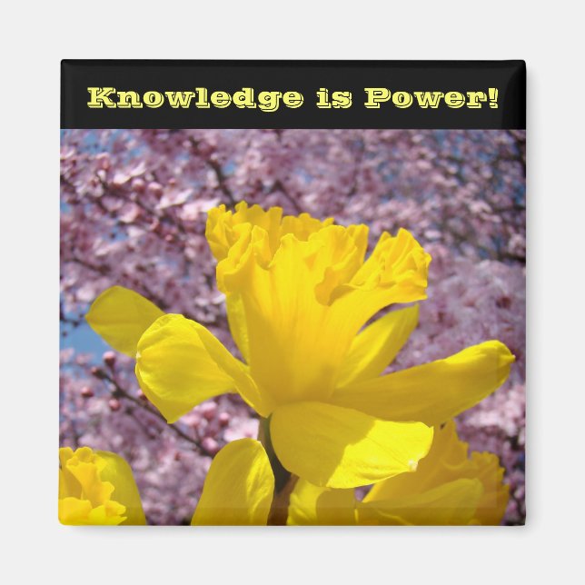 School Locker magnets Knowledge is Power! (Front)