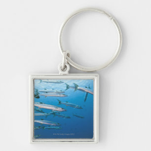School of blackfin barracuda (Sphyraena qenie) Keychain