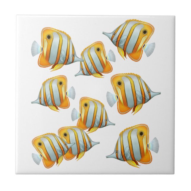 School of Copperband Butterfly Fish Tile (Front)