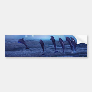 School of dolphins by moonlight bumper sticker