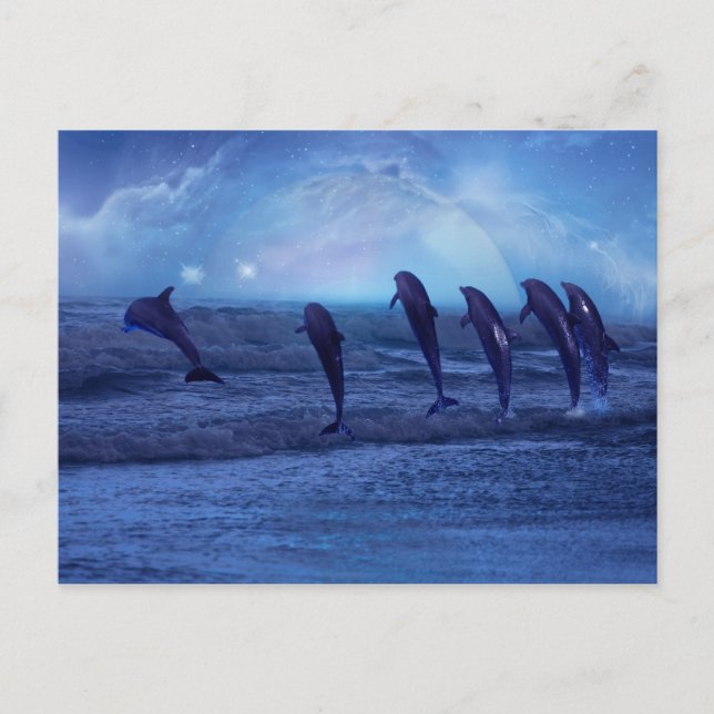 School of dolphins by moonlight postcard (Front)