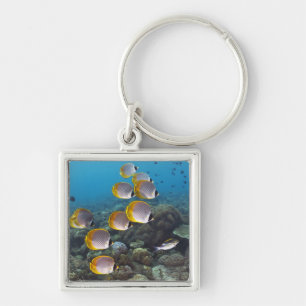 School of Fish 2 Keychain