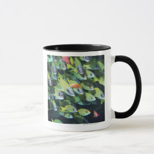 School of Fish 7 Mug