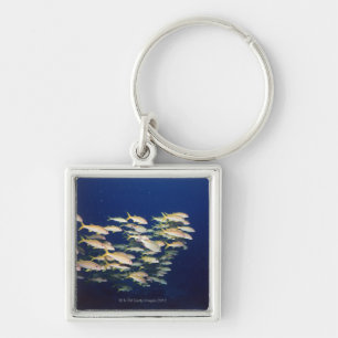 School of Fish 8 Keychain