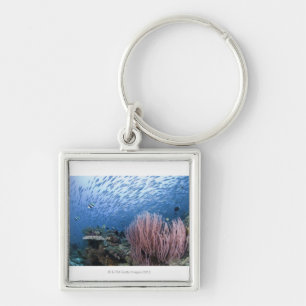 School of fish above reef keychain