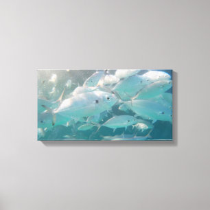 SCHOOL OF FISH ON CANVAS     20 "x 16" Print