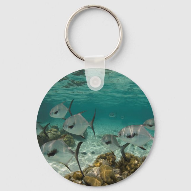 School of Permit Fish Keychain (Front)
