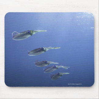 School of squid in the Caribbean Mouse Pad