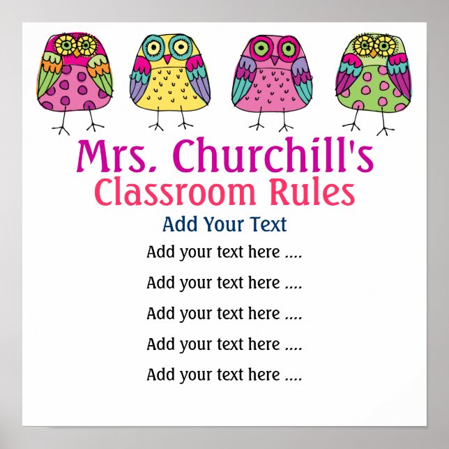 School Teacher's Classroom Rules LG. by SRF Poster (Front)