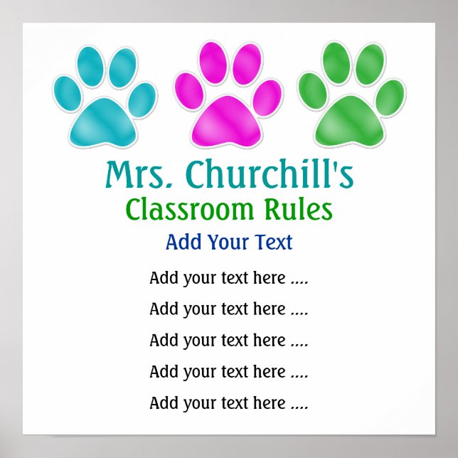 School Teacher's Classroom Rules - SRF Poster (Front)