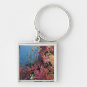 Schooling Fairy Basslets 2 Keychain