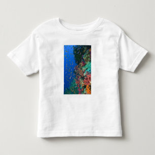 Schooling Fairy Basslets (Pseudanthias Toddler T-shirt