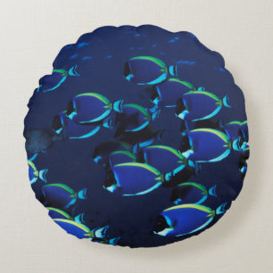 Schooling Powder Blue Surgeonfish Round Pillow