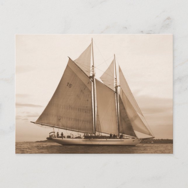 Schooner Adventuress Postcard (Front)