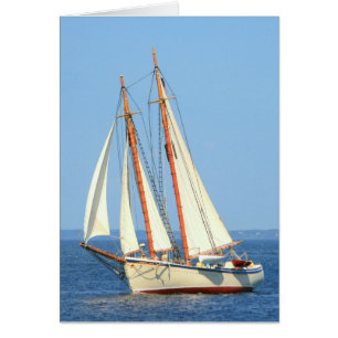 Schooner American Eagle voile