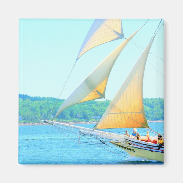 Schooner jibs flying magnet (Front)