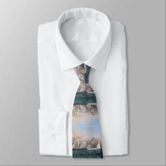 Schooners Dreadnought and Columbia 1870 Tie