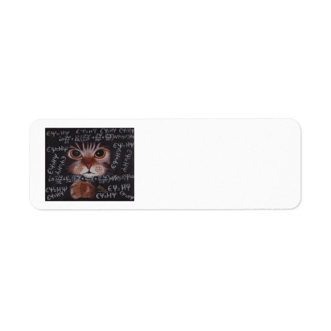 SCHRÖDINGER CAT (Devant)