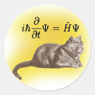 Schrodinger cat classic round sticker