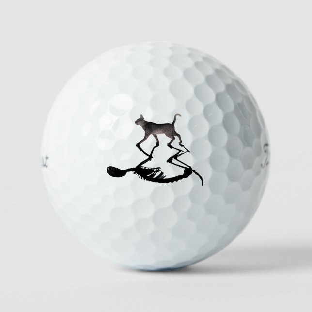 Schrodinger Cat Titliest Pro 3-pack  Golf Balls (Front)