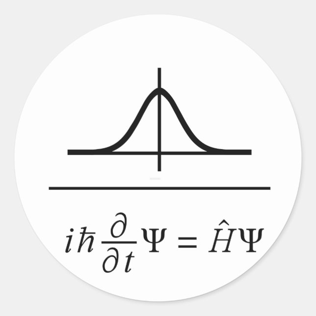 Schrödinger Equation Classic Round Sticker (Front)