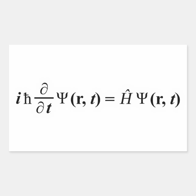 Schrödinger Gleichung Schrodingers equation Sticker (Front)