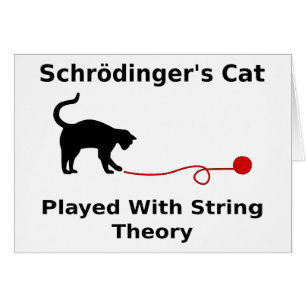 Schrödinger’s Cat Played With String Theory