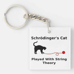 Schrödinger’s Cat Played With String Theory Keychain