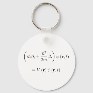 Schrodinger wave equation keychain