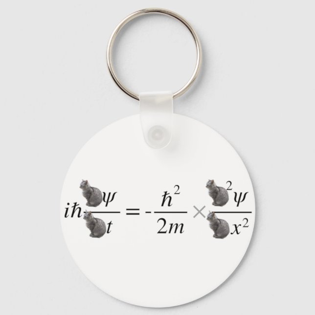 Schrodinger's cat keychain (Front)