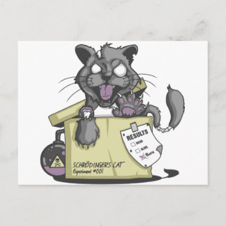 Schrodinger's Cat - New Postcard