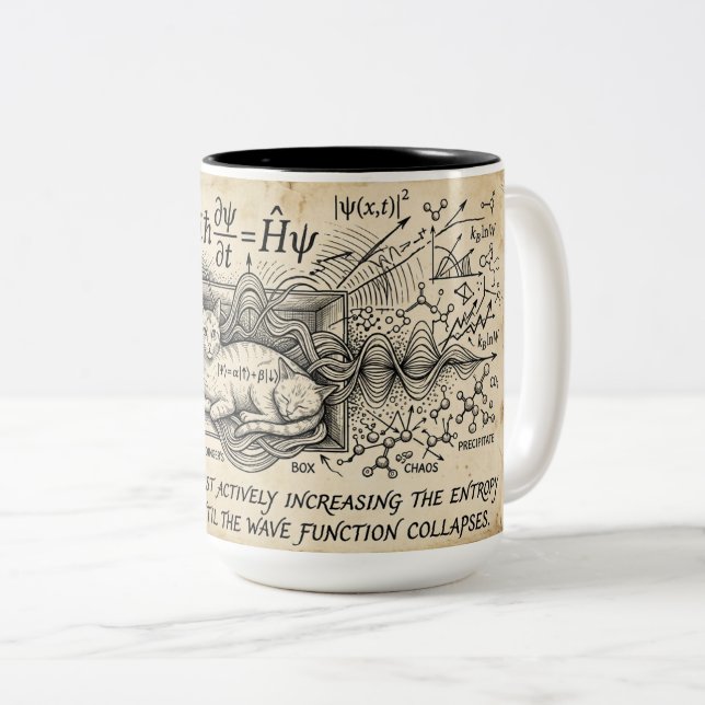 Schrodinger's Cat Quantum Physics Mug | Wave fnctn (Front Right)