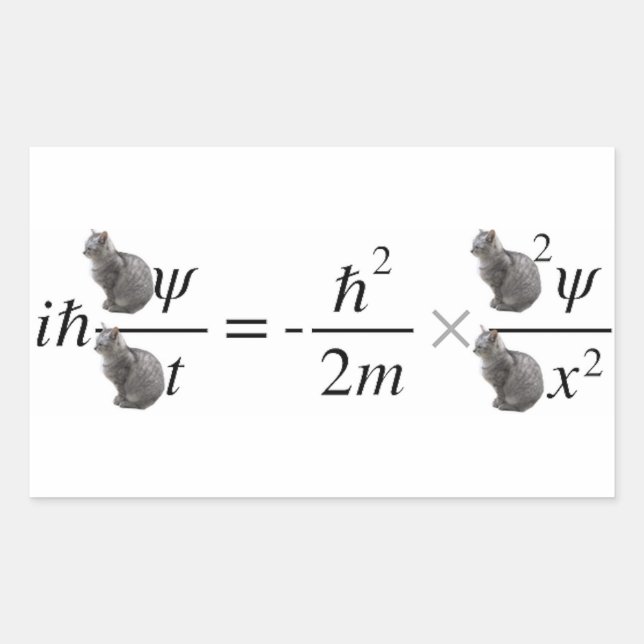 Schrodinger's cat sticker (Front)