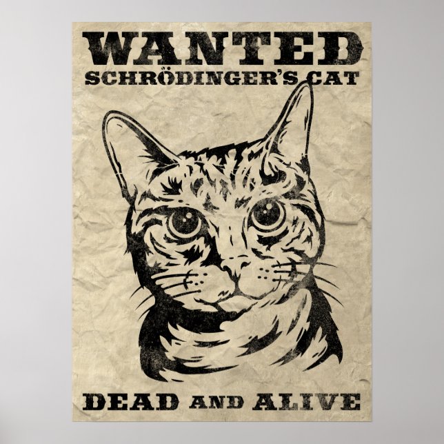 Schrodinger's cat wanted dead or alive poster (Front)