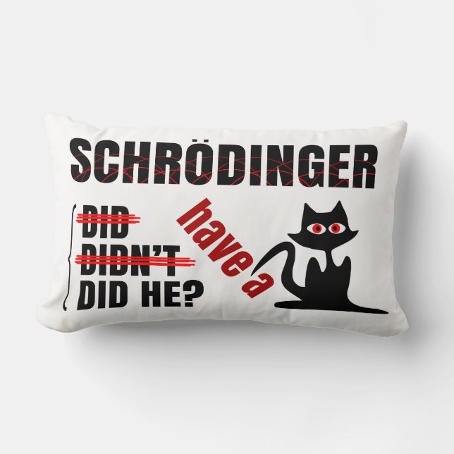 Schrodinger's Dillema Lumbar Pillow (Front)