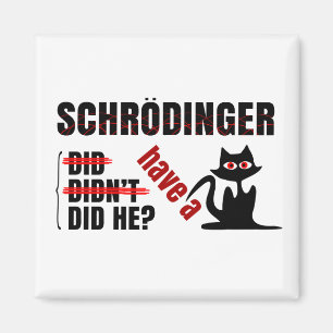 Schrodinger's Dillema Magnet