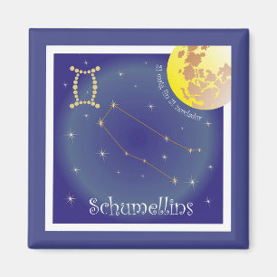 Schumellins 21 matg fin 21 zercladur Magnet