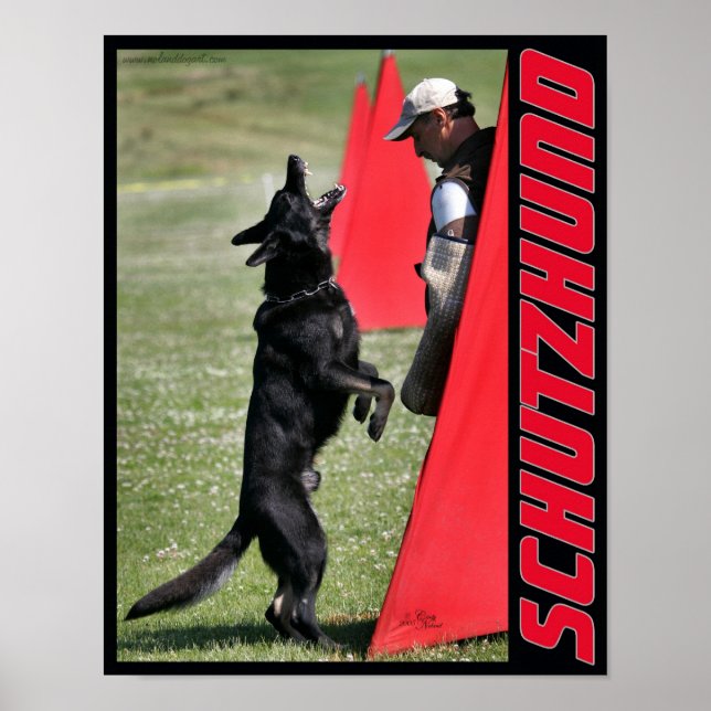 Schutzhund German Shepherd Dog Poster (Front)