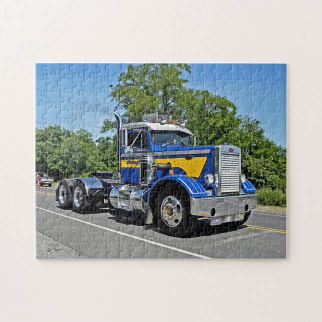 Schwanger's Needle Nose Puzzle (Horizontal)