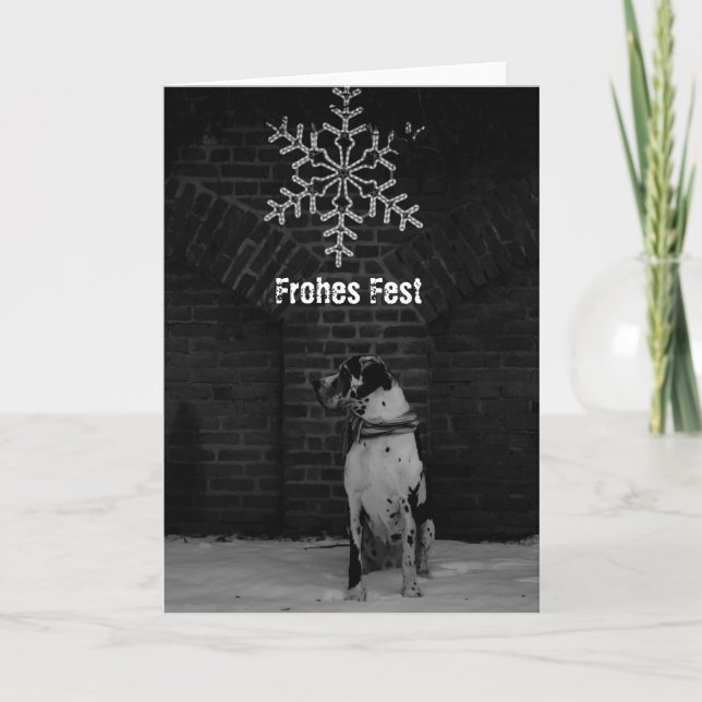 Schwarz Weiß Weihnachtskarten Holiday Card (Front)