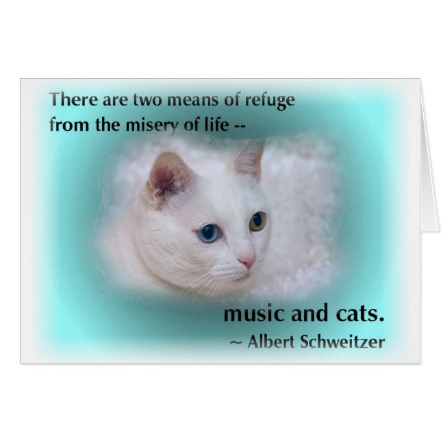 Schweitzer's Cat (Front Horizontal)