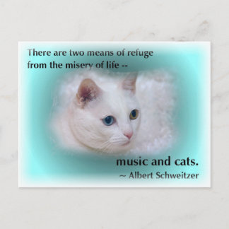Schweitzer's Cat Postcard