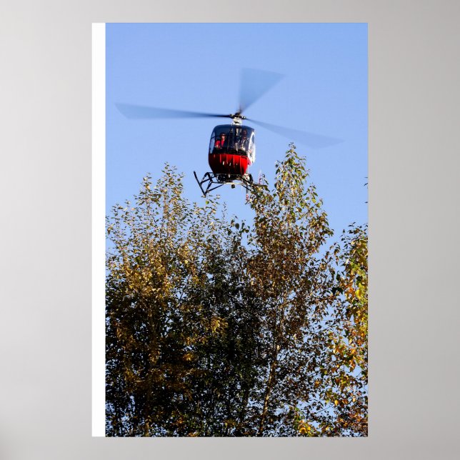 Schweizer coming in to land poster (Front)